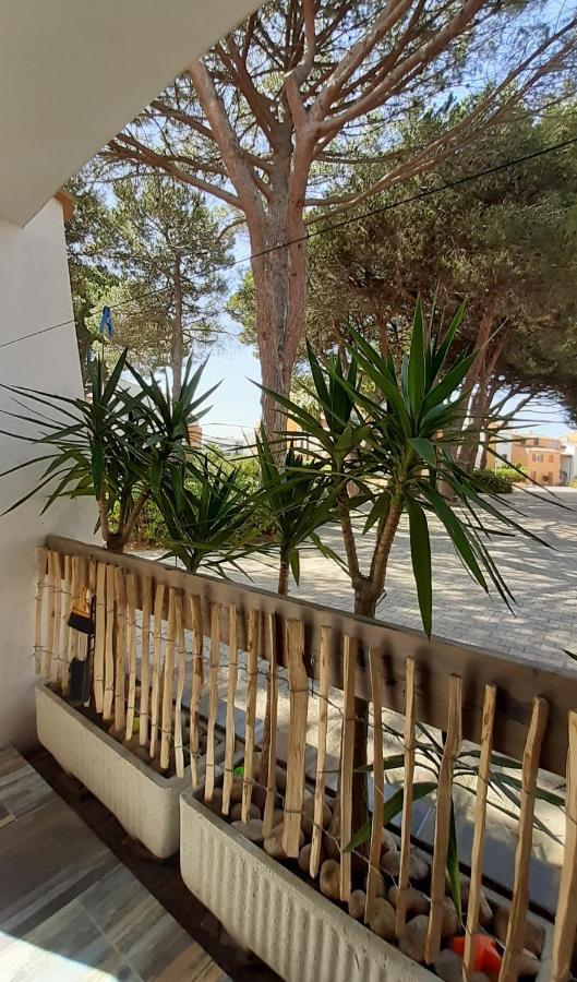 T2-3 Cabine Les Yuccas 200 M Plage Du Boucanet Rive Droite Grau Du Roi Ideal 2-4 Pers Le Grau-du-Roi Eksteriør billede
