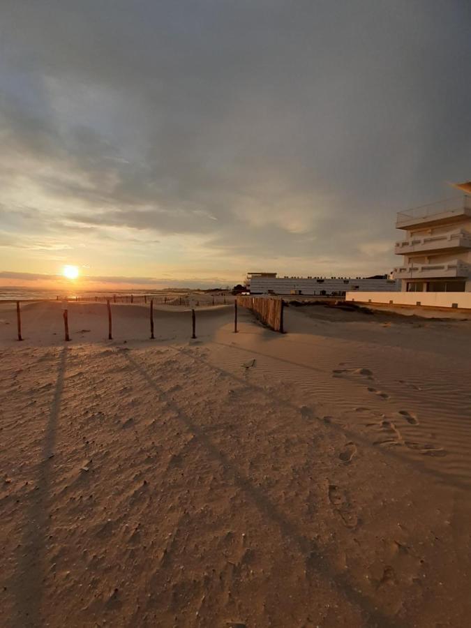 T2-3 Cabine Les Yuccas 200 M Plage Du Boucanet Rive Droite Grau Du Roi Ideal 2-4 Pers Le Grau-du-Roi Eksteriør billede